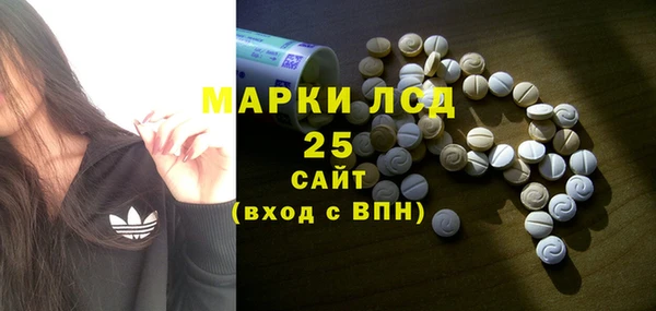 индика Дмитриев