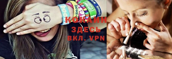 ПСИЛОЦИБИНОВЫЕ ГРИБЫ Дмитров