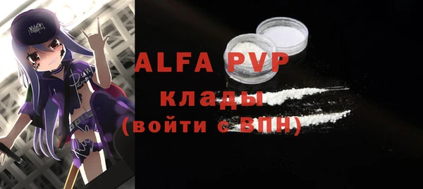 индика Дмитриев