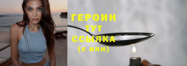 прущие грибы Гусев