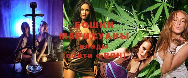 гидропоника Гусиноозёрск