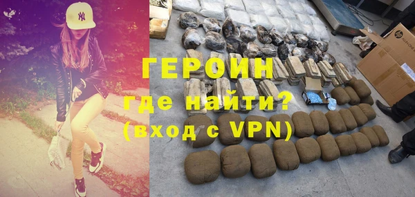 индика Дмитриев
