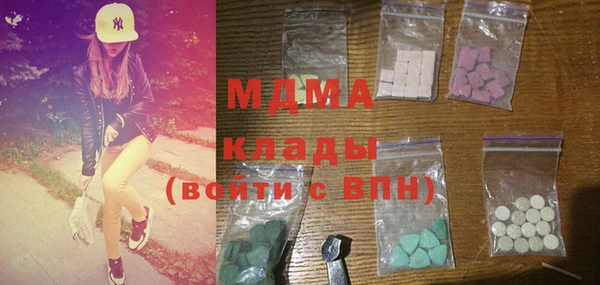 индика Дмитриев