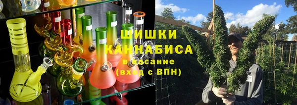 индика Дмитриев