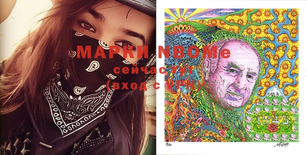 прущие грибы Гусев