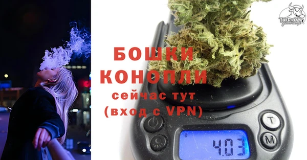 прущие грибы Гусев