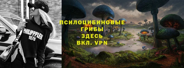 индика Дмитриев