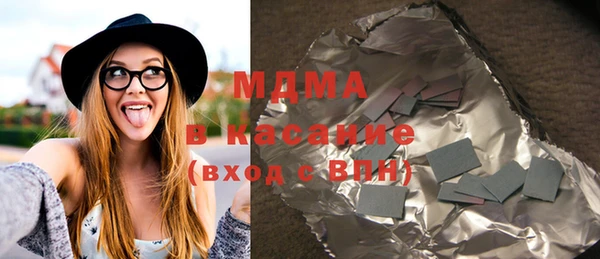индика Дмитриев