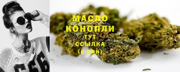 гидропоника Гусиноозёрск