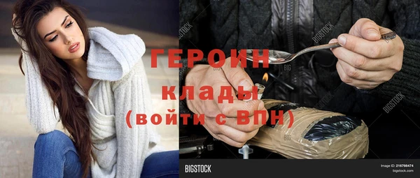 индика Дмитриев