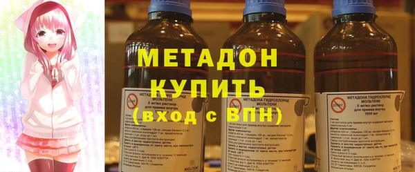 индика Дмитриев