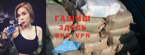 индика Дмитриев